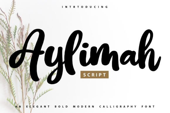 Aylimah: The Bold Script Font That Elevates Campaign Visuals